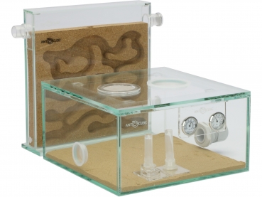 ANTCUBE Starter Kit L - 20x20 - Cork